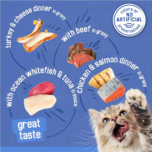 Purina Friskies Wet Cat Food Variety Pack, Shreds Beef, Turkey, Whitefish, and Chicken & Salmon - (Pack of 40) 5.5 oz. Cans-UPStoxs