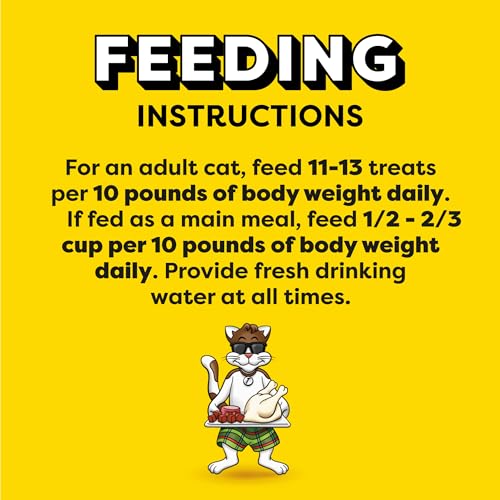 Temptations MixUps Backyard Cookout Flavor Crunchy and Soft Cat Treats, 30 oz. Tub-UPStoxs