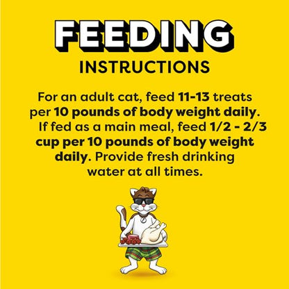 Temptations MixUps Backyard Cookout Flavor Crunchy and Soft Cat Treats, 16 oz. Tub-UPStoxs