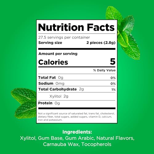 PUR Gum | Aspartame Free Chewing Gum | 100% Xylitol | Natural Spearmint Flavored Gum, 55 Pieces (Pack of 1)-UPStoxs