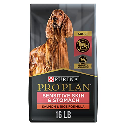 Purina Pro Plan Sensitive Skin and Stomach Dog Food Salmon and Rice Formula - 16 lb. Bag-UPStoxs