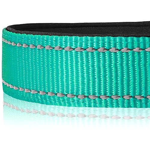 Joytale Reflective Dog Collar,Soft Neoprene Padded Breathable Nylon Pet Collar Adjustable for Medium Dogs,Teal,M-UPStoxs