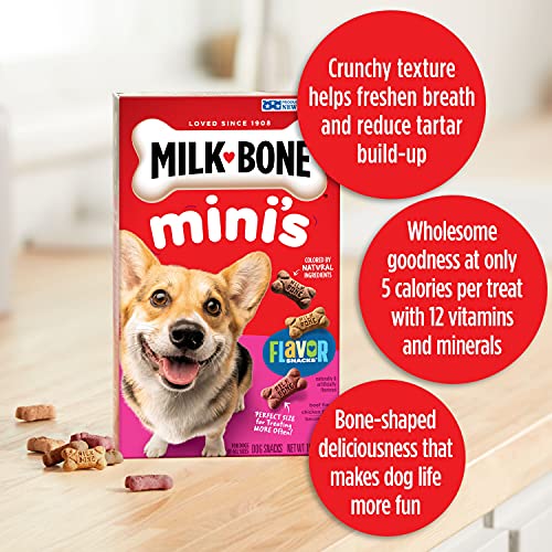 Milk-Bone Mini's Flavor Snacks Dog Treats, 36 Ounce Crunchy Texture Helps Reduce Tartar-UPStoxs