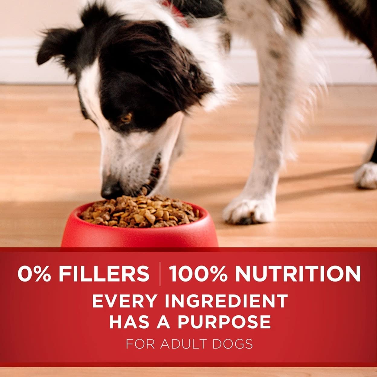 Purina ONE SmartBlend Natural Lamb and Rice, Dry Dog Food, 44 lbs.