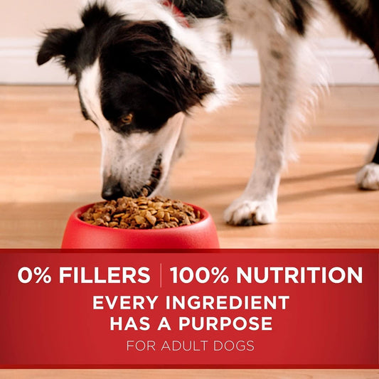 Purina ONE SmartBlend Natural Lamb and Rice, Dry Dog Food, 44 lbs.
