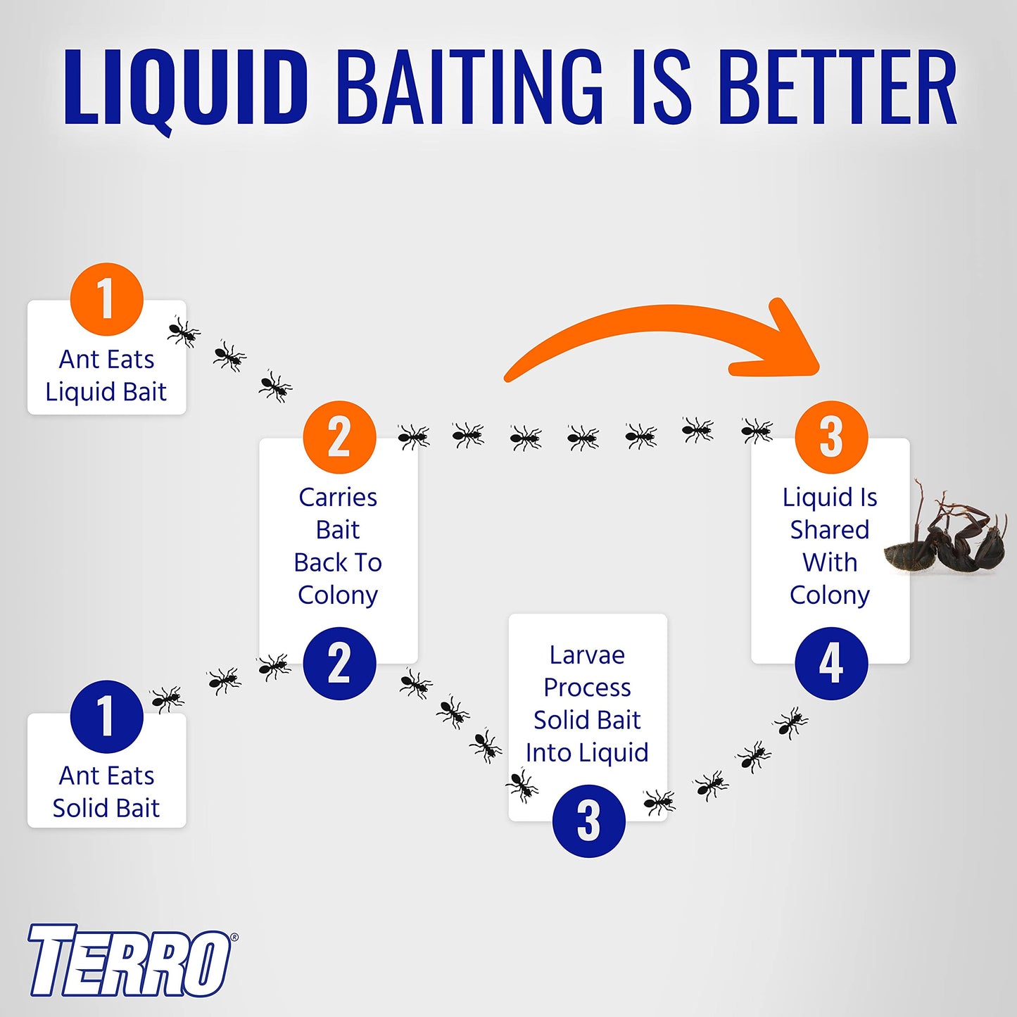 TERRO Liquid Ant Killer ll T200, 2 oz-UPStoxs