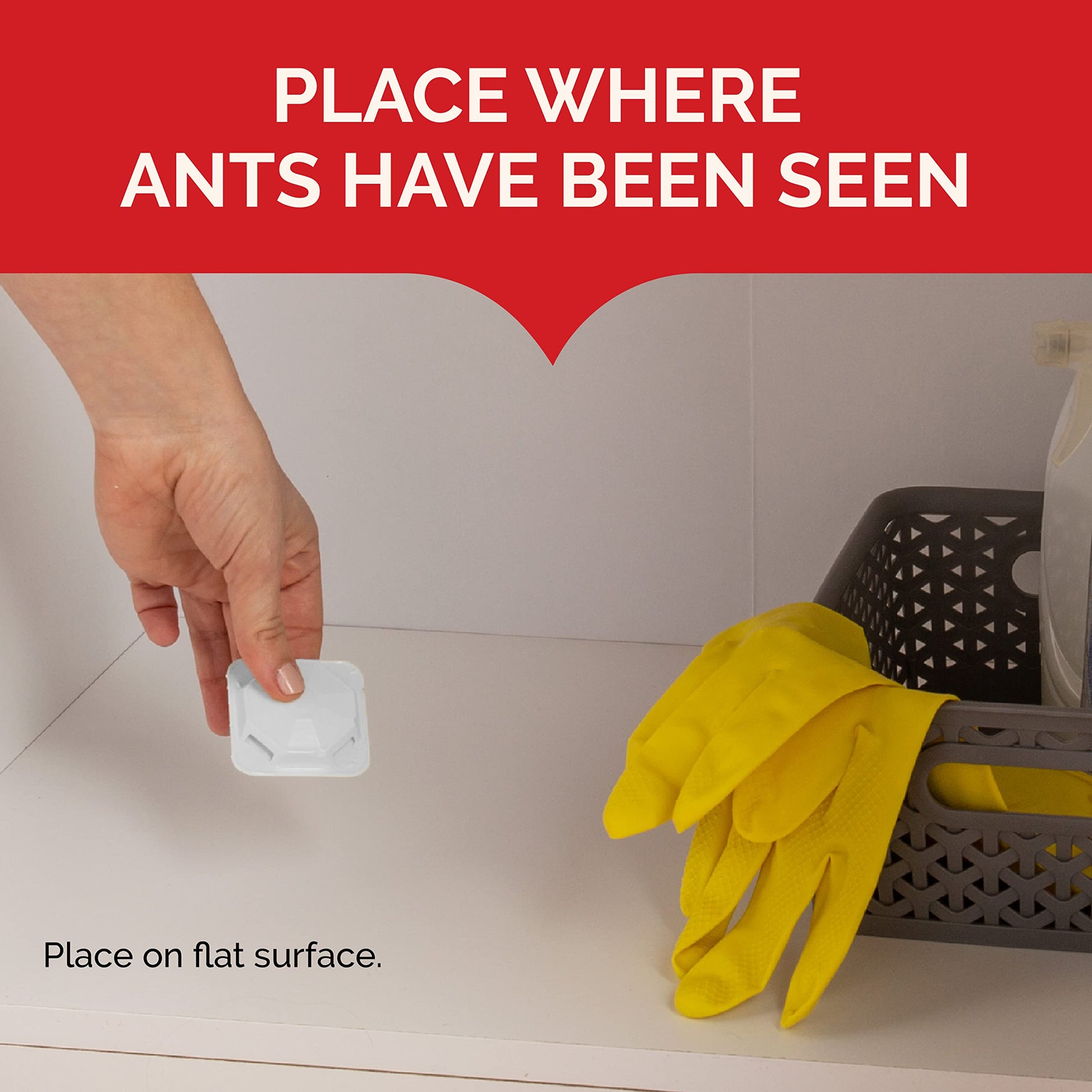 Hot Shot Ant Bait, Kills the Queen and Colony, Works for 6 months, Pack of 1, 8 Count-UPStoxs