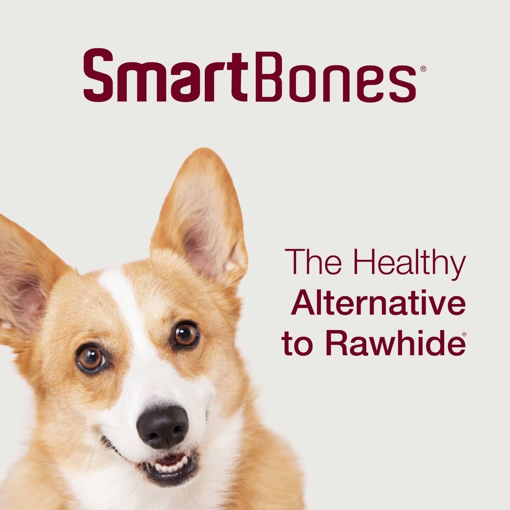 SmartBones Smart Twist Sticks With Peanut Butter 50 Count, Rawhide-Free Chews For Dogs, SBTT-02943, 50-count-UPStoxs