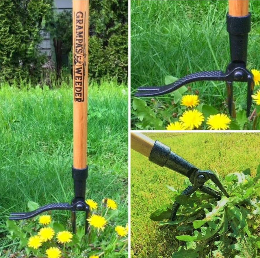 Grampa's Weeder - The Original Stand Up Weed Puller Tool with Long Handle - Made with Real Bamboo & 4-Claw Steel Head Design - Easily Remove Weeds Without Bending, Pulling, or Kneeling.-UPStoxs