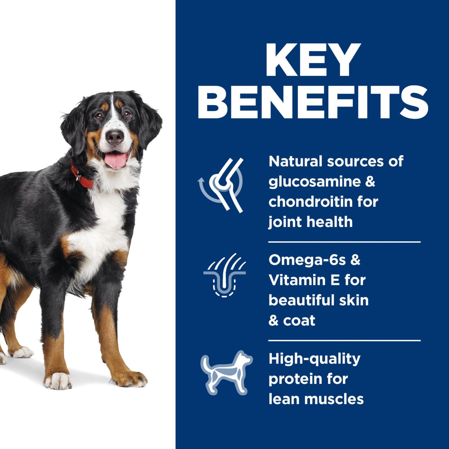Hill's Science Diet Large Breed, Adult 1-5, Large Breed Premium Nutrition, Dry Dog Food, Chicken & Barley, 35 lb Bag-UPStoxs