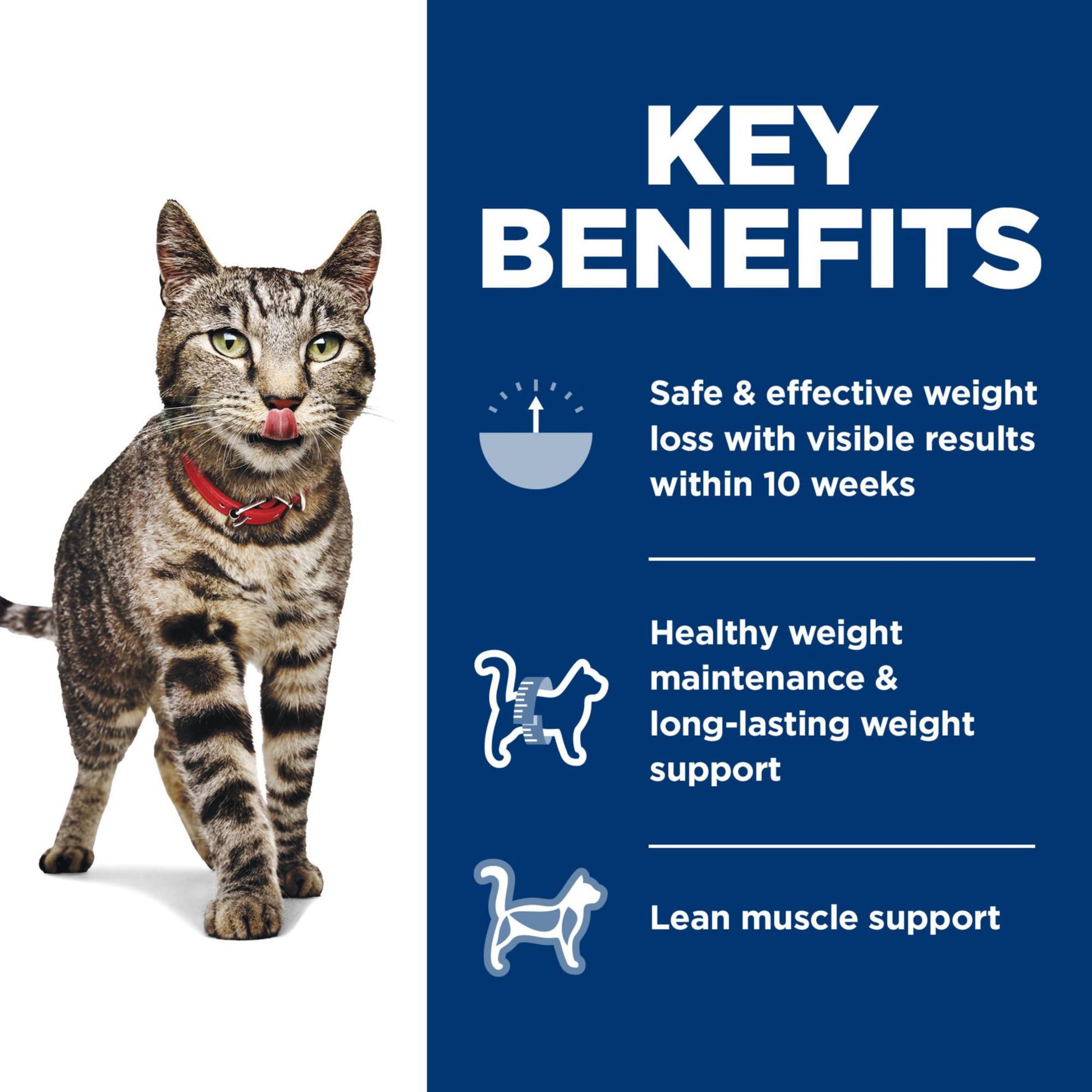 Hill's Science Diet Perfect Weight, Adult 1-6, Weight Management Support, Dry Cat Food, Chicken Recipe, 15 lb Bag-UPStoxs