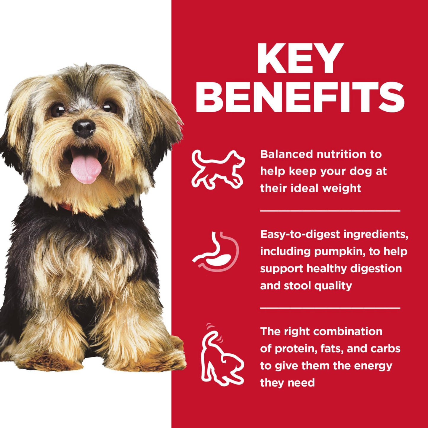Hill's Science Diet Small & Mini, Adult 1-6, Small & Mini Breeds Premium Nutrition, Dry Dog Food, Chicken & Brown Rice, 4.5 lb Bag-UPStoxs
