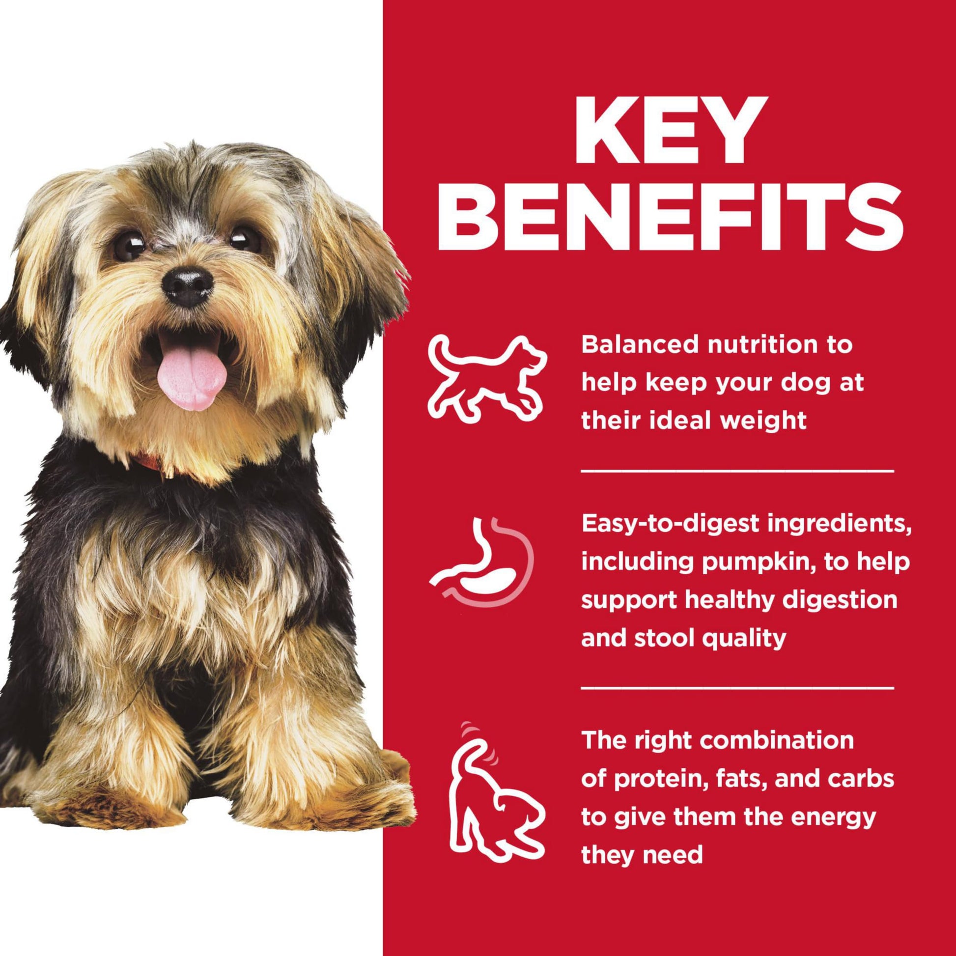 Hill's Science Diet Small & Mini, Adult 1-6, Small & Mini Breeds Premium Nutrition, Dry Dog Food, Chicken & Brown Rice, 4.5 lb Bag-UPStoxs
