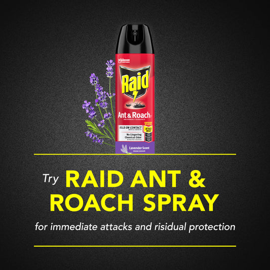 Raid Ant & Roach Killer Spray For Listed Bugs, Keeps Killing for Weeks, Lavender Scent, 17.5 oz-UPStoxs