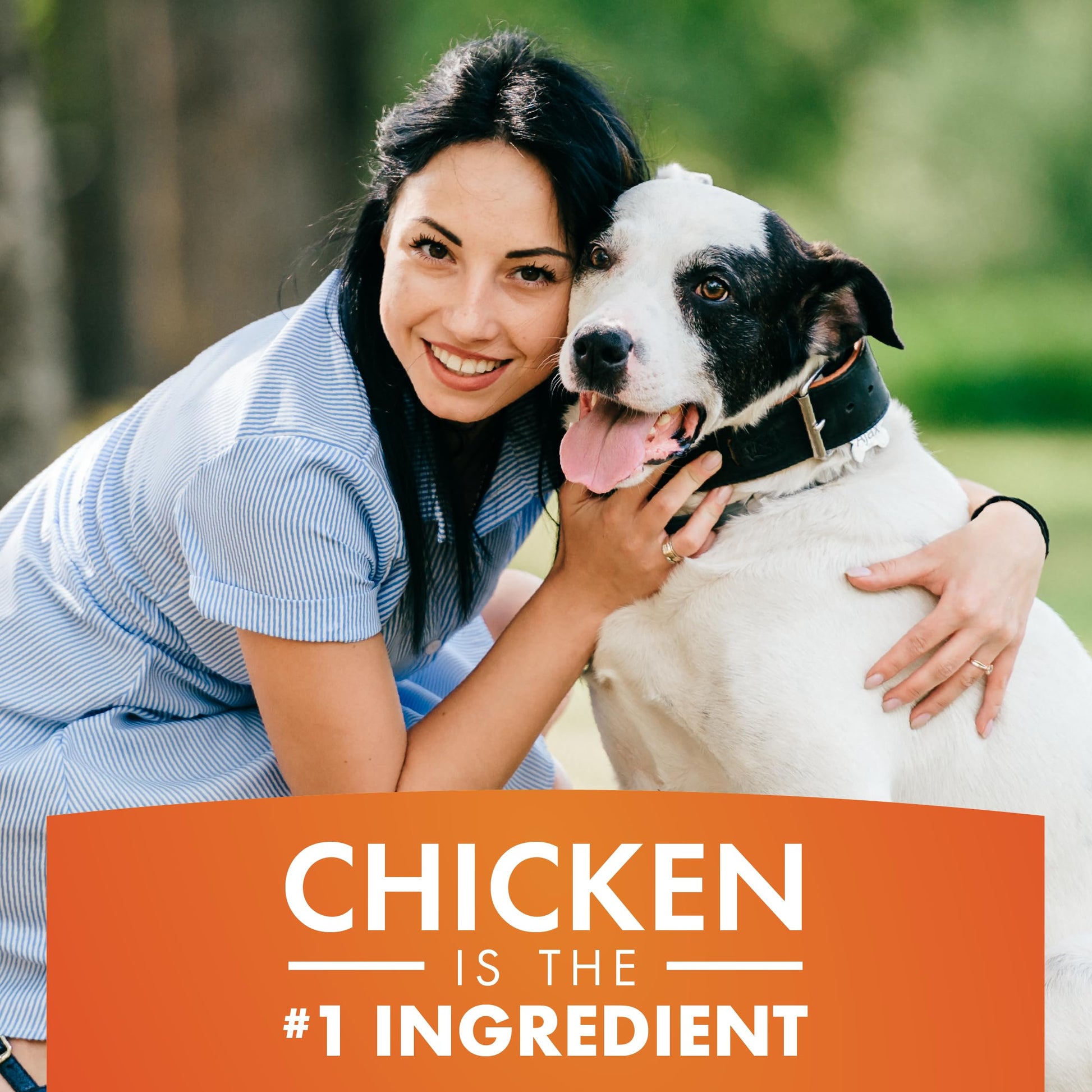 Pur Luv Dog Treats, Chicken Jerky for Dogs, Made with 100% Real Chicken Breast, 16 Ounces, Healthy, Easily Digestible, Long-Lasting, High Protein Dog Treat, Satisfies Dog's Urge to Chew-UPStoxs