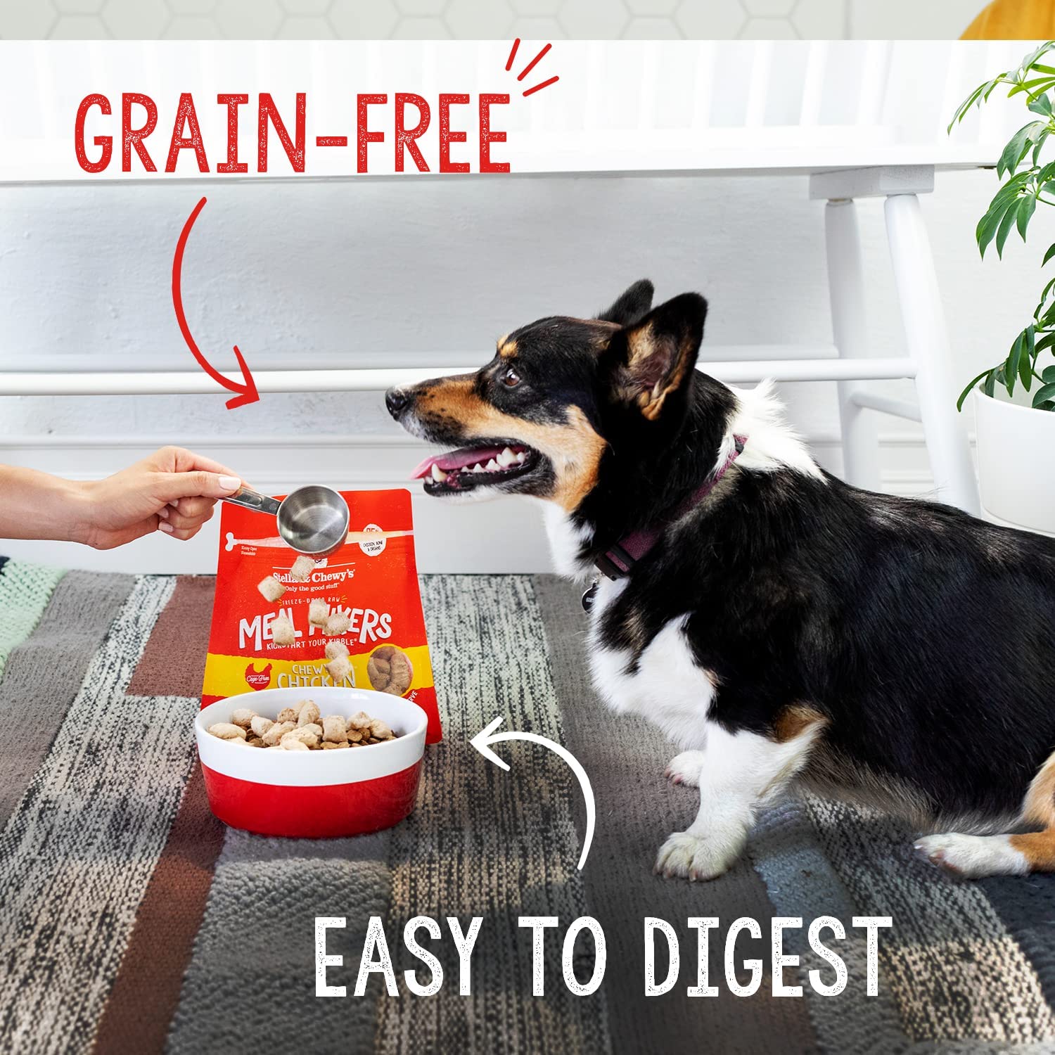 Stella & Chewy's Freeze Dried Raw Chewy’s Chicken Meal Mixers – Dog Food Topper for Small & Large Breeds – Grain Free, Protein Rich Recipe – 3.5 oz Bag-UPStoxs