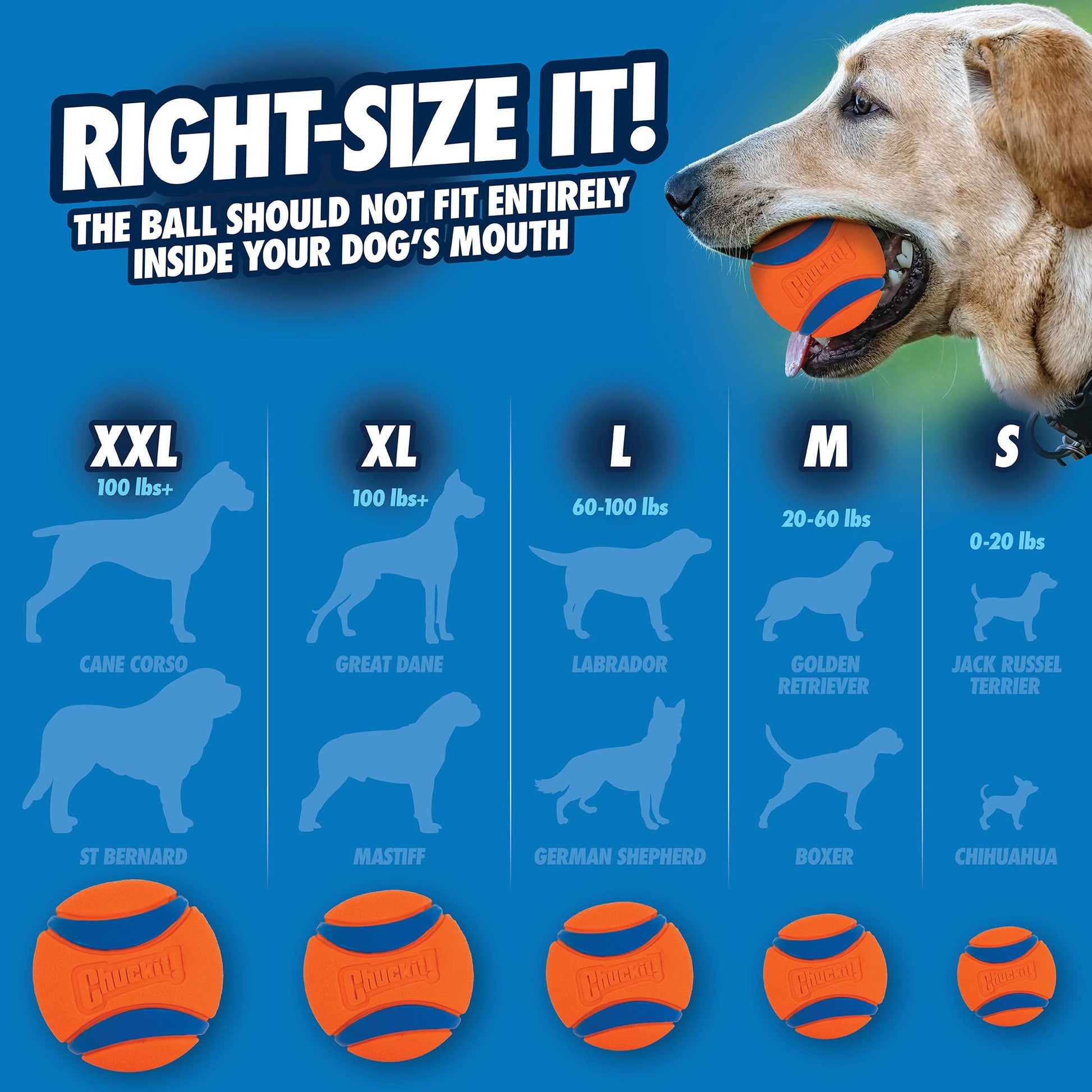 Chuckit Ultra Ball Dog Toy, Medium (2.5 Inch Diameter) Pack of 4, for Breeds 20-60 Lbs-UPStoxs