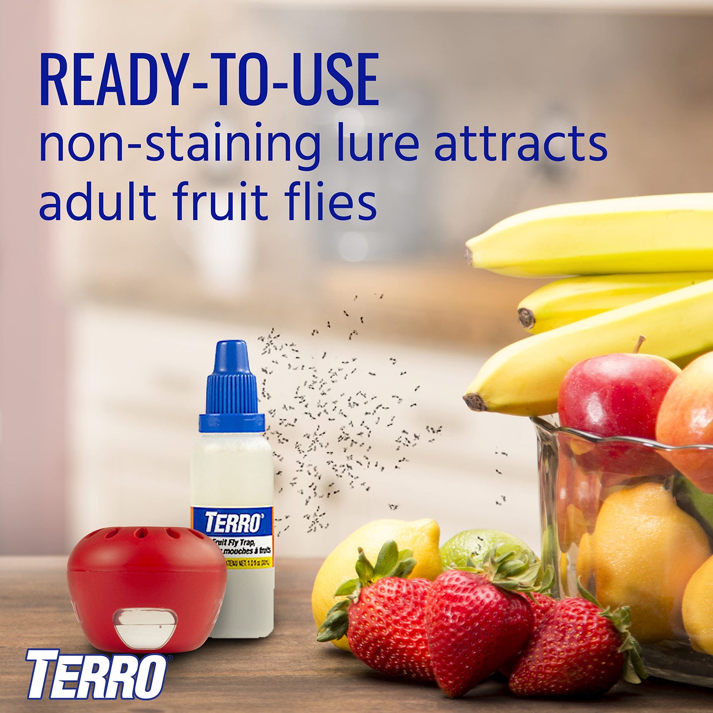 TERRO T2503-3 Ready-to-Use Indoor Fruit Fly Trap with Built in Window - 6 Traps + 270 day Lure Supply-UPStoxs