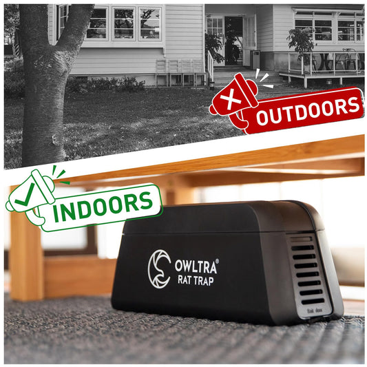 OWLTRA Indoor Electric Mouse Trap, Instant Eliminate Rodent Zapper with Pet Safe Trigger, Black, Small-UPStoxs