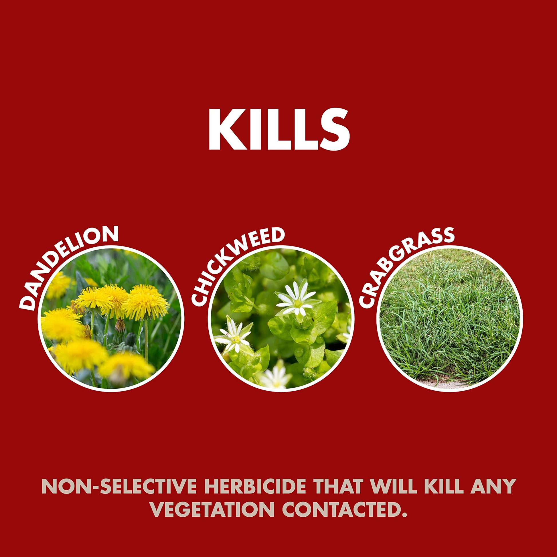 Spectracide Weed & Grass Killer, Use On Driveways, Walkways and Around Trees and Flower Beds, 1 Gallon (RTU Spray)-UPStoxs