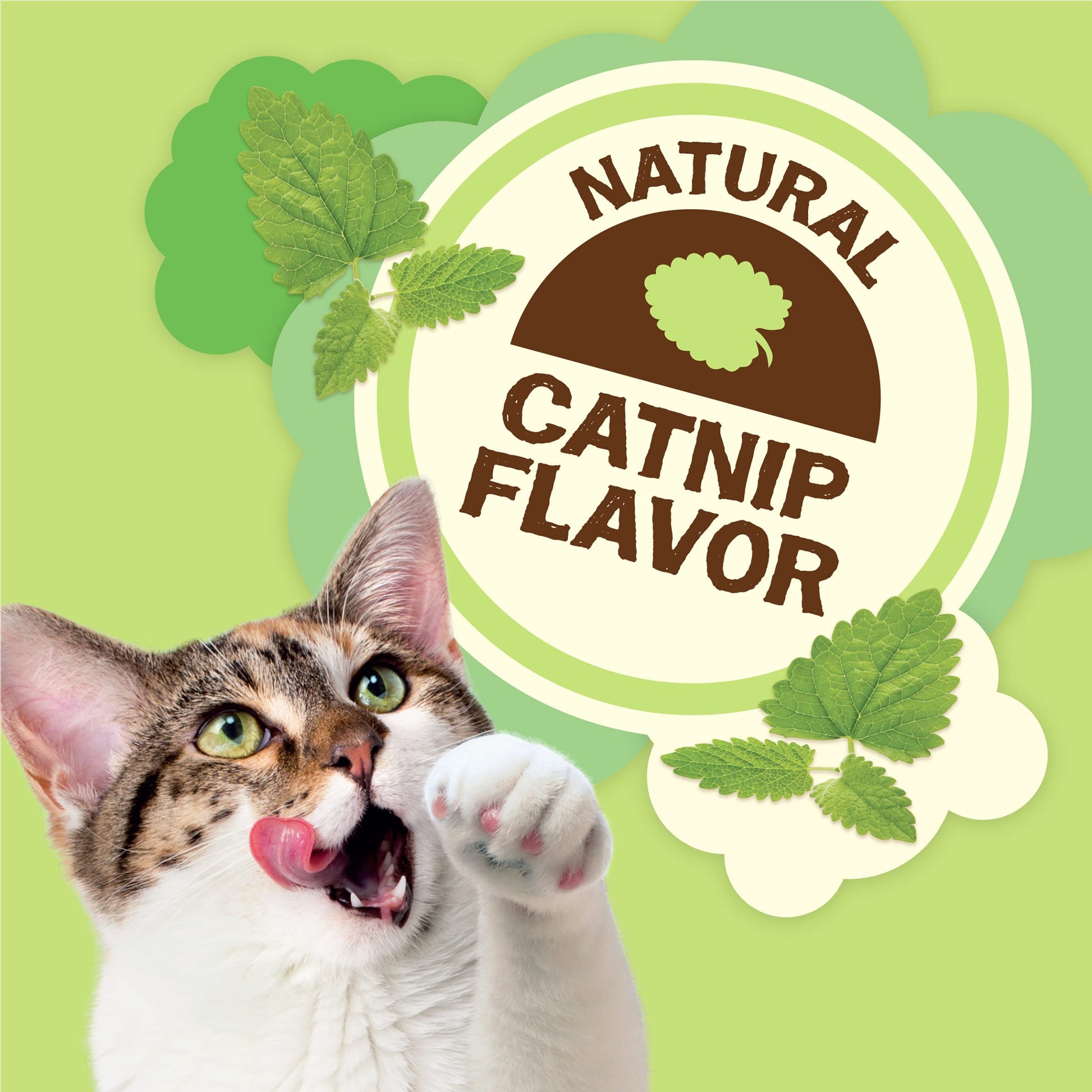 Purina Friskies Made in USA Facilities, Natural Cat Treats, Party Mix Natural Yums Catnip Flavor - 20 oz. Canister-UPStoxs