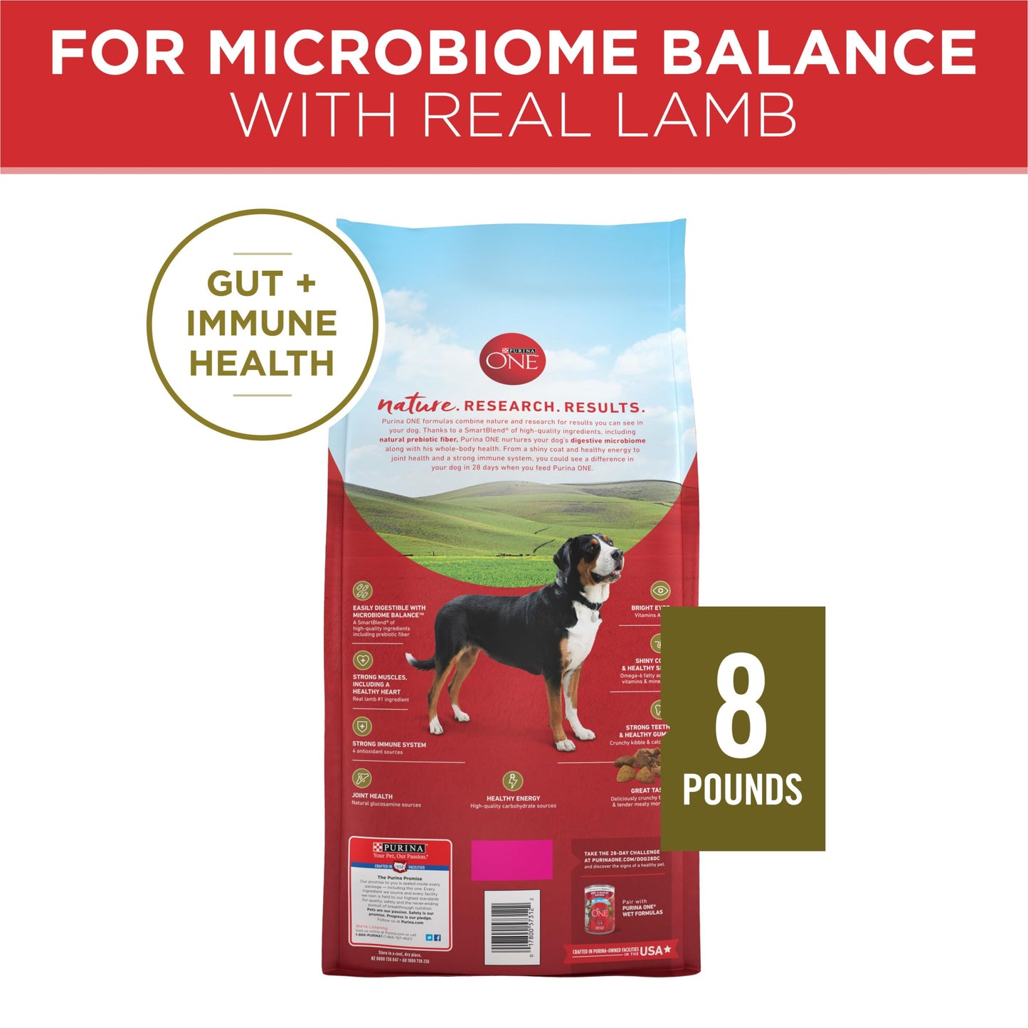 Purina ONE Dry Dog Food Lamb and Rice Formula - 8 lb. Bag-UPStoxs