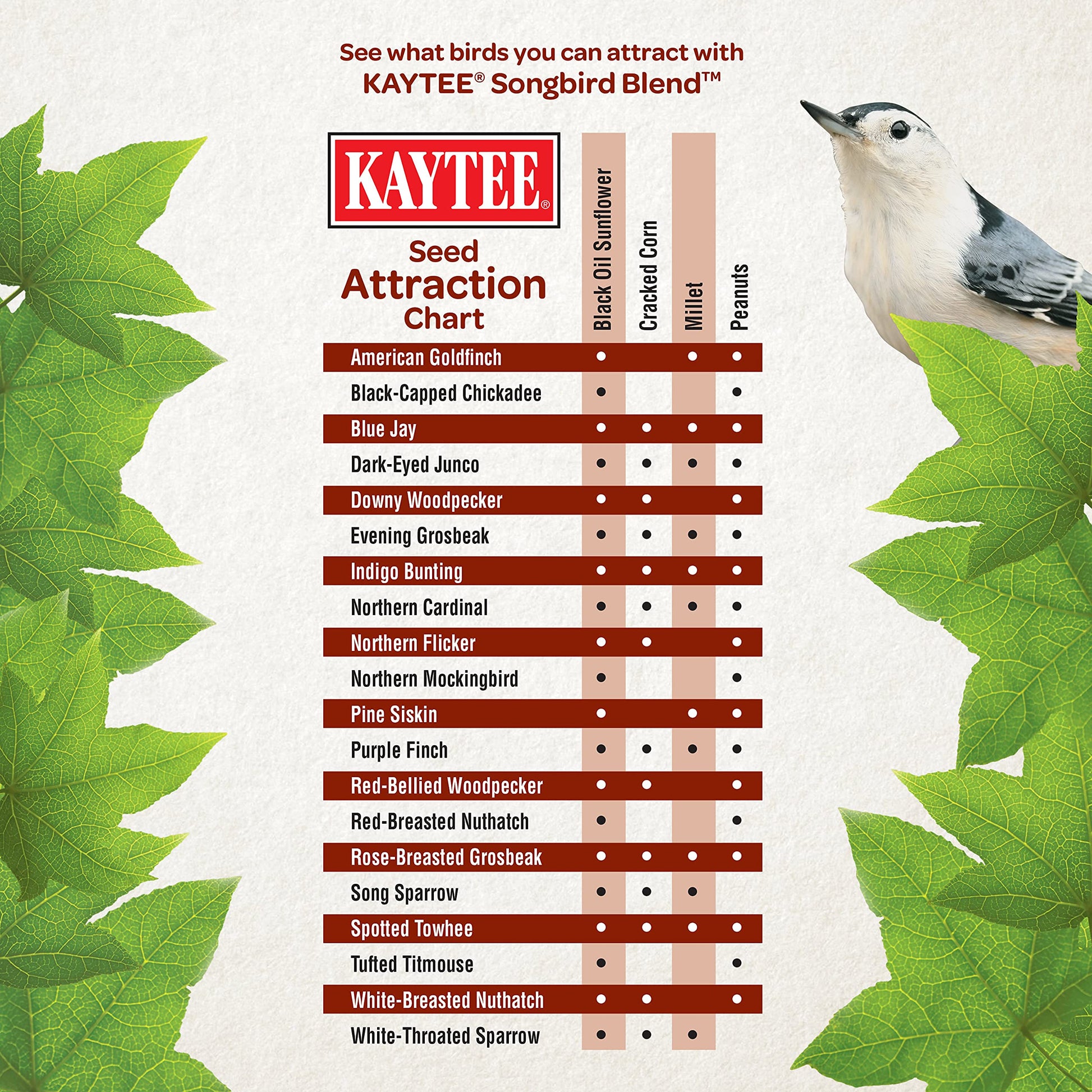 Kaytee Wild Bird Songbird Blend Food Seed, 7 Pound-UPStoxs
