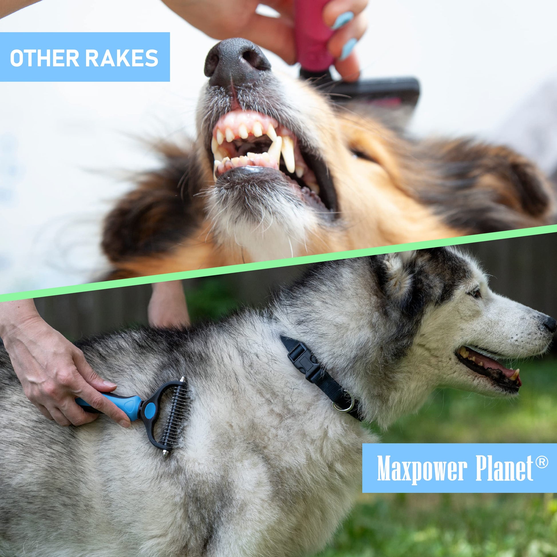 Maxpower Planet Pet Grooming Rake - Double-Sided Dematting Undercoat Brush for Dogs and Cats, Extra Wide, Reduces Shedding by 95%, Blue-UPStoxs