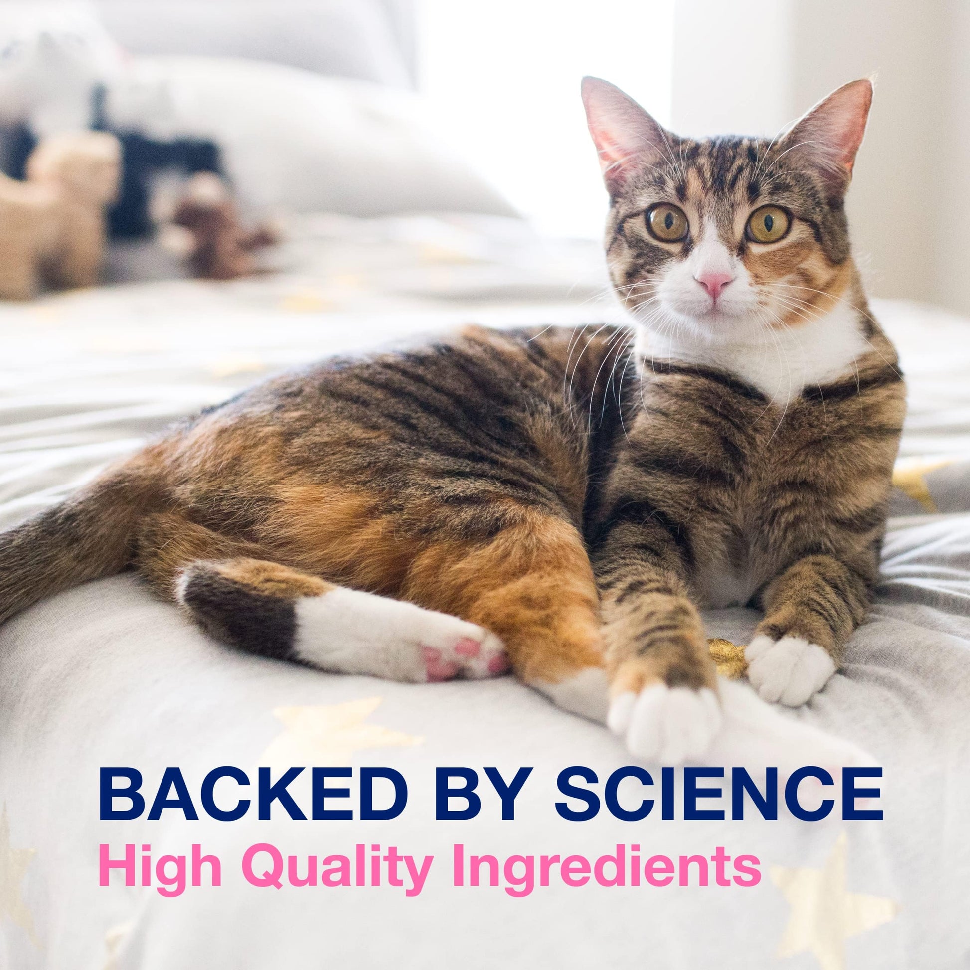 Proviable Digestive Health Supplement Multi-Strain Probiotics and Prebiotics for Cats and Dogs - with 7 Strains of Bacteria, 80 Capsules-UPStoxs