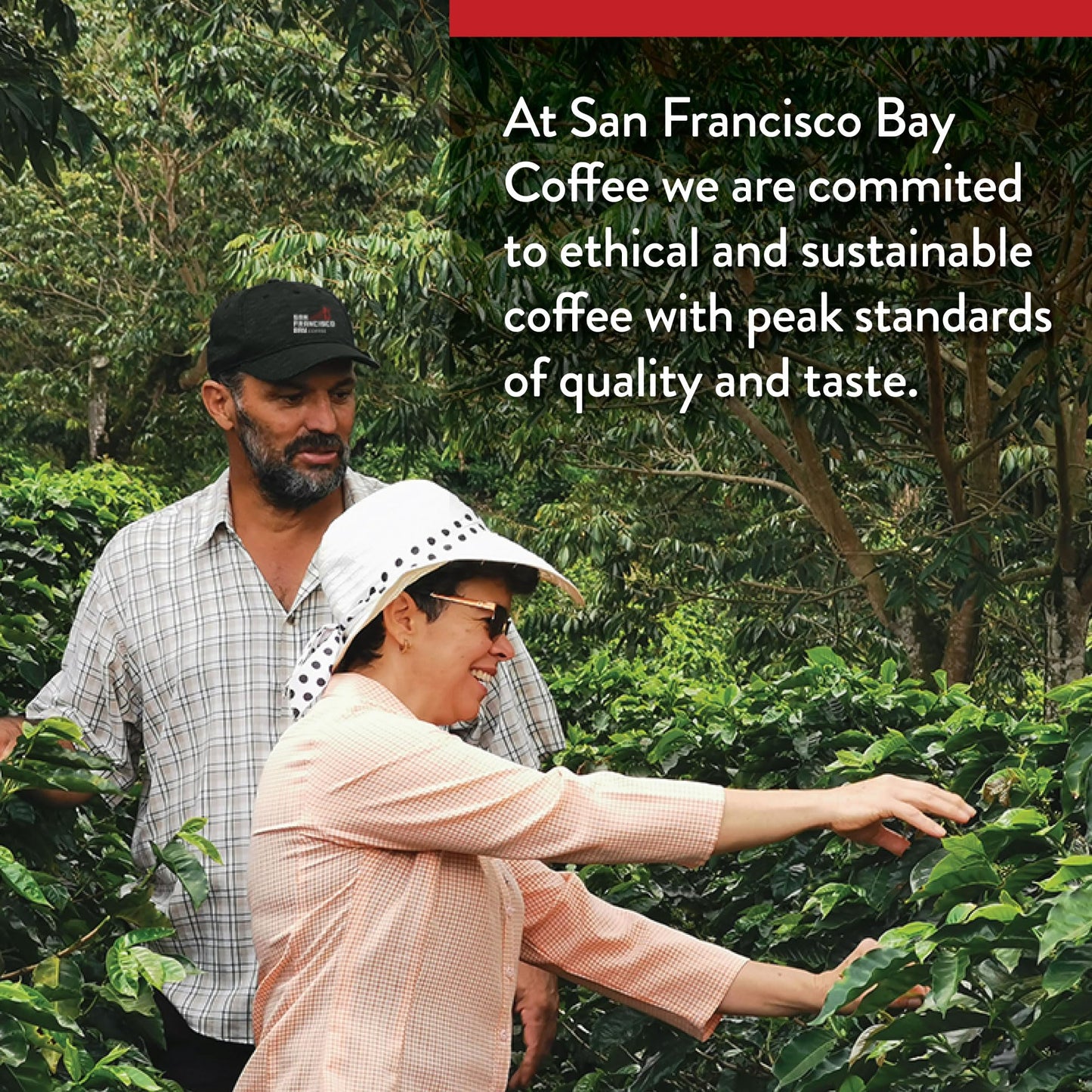 San Francisco Bay Compostable Coffee Pods - French Roast (80 Ct) K Cup Compatible including Keurig 2.0, Dark Roast-UPStoxs