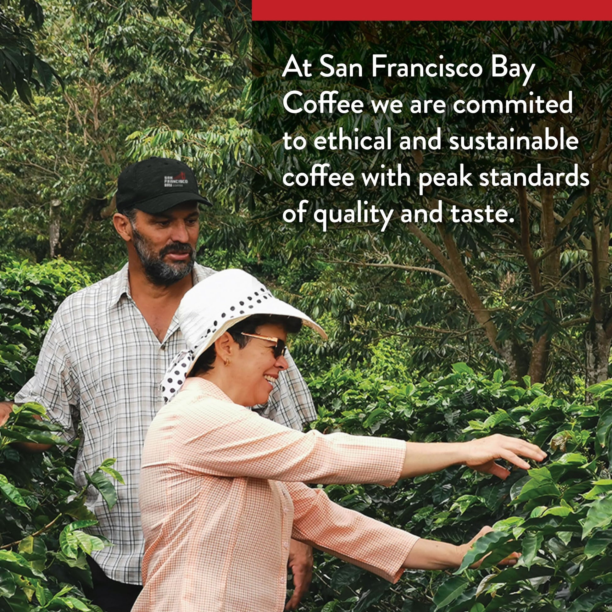 San Francisco Bay Compostable Coffee Pods - French Roast (80 Ct) K Cup Compatible including Keurig 2.0, Dark Roast-UPStoxs
