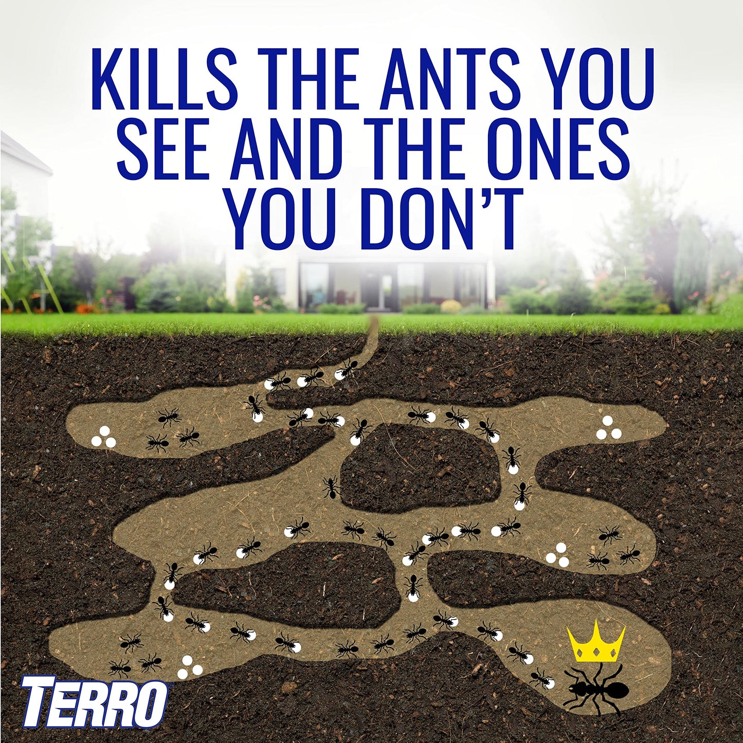 TERRO Liquid Ant Killer ll T200, 2 oz-UPStoxs