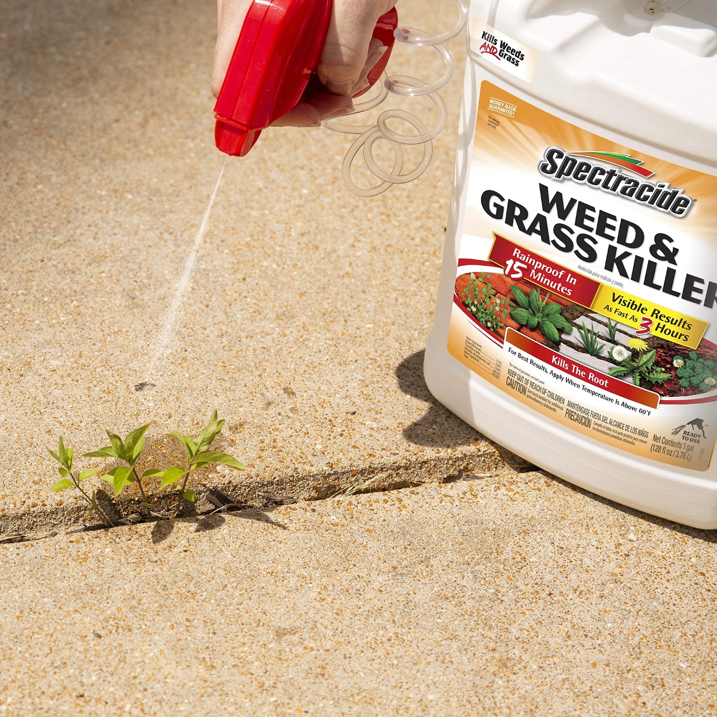 Spectracide Weed & Grass Killer, Use On Driveways, Walkways and Around Trees and Flower Beds, 1 Gallon (RTU Spray)-UPStoxs