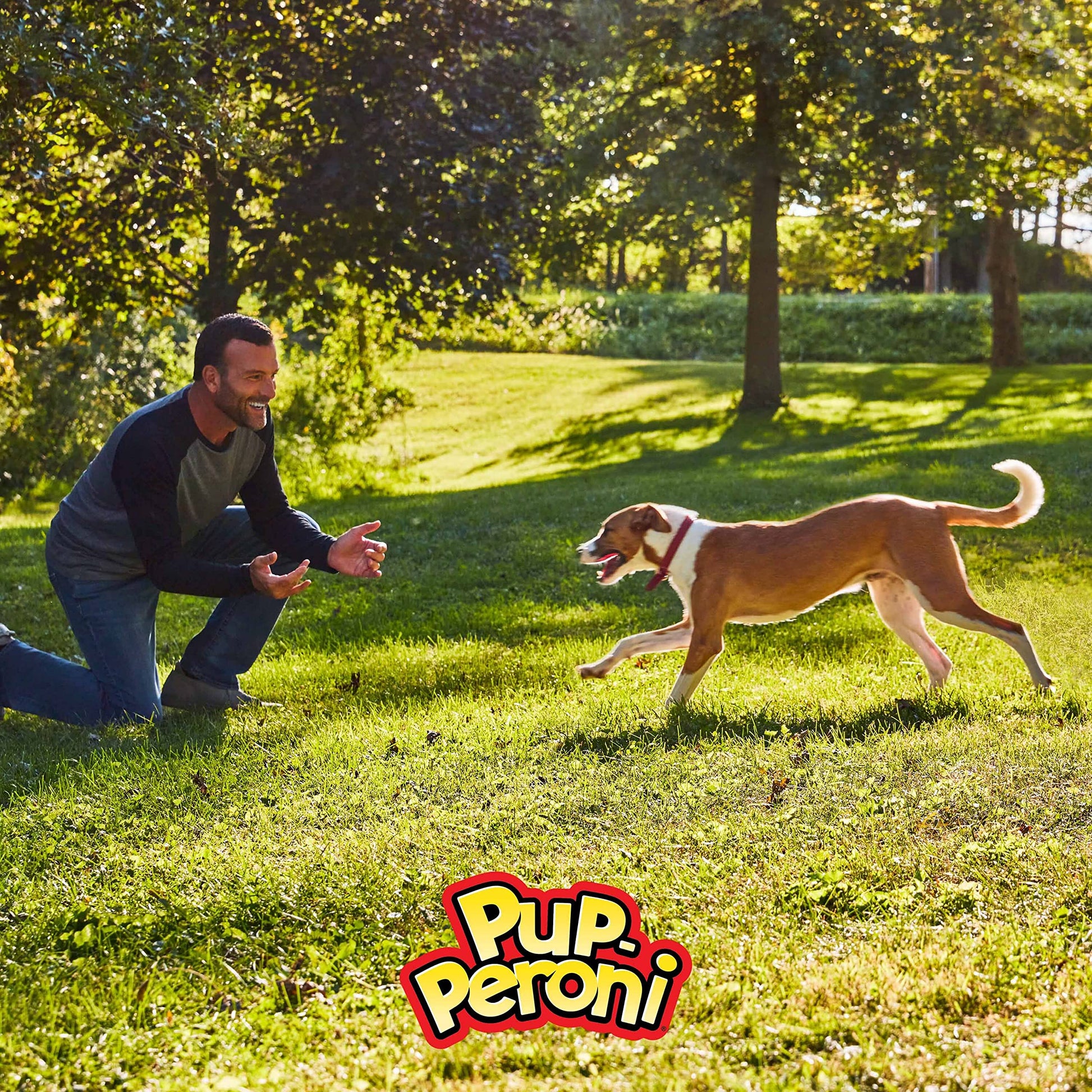 Pup-Peroni Dog Treats, Original Beef Flavor, 38 Ounce, Made with Real Beef-UPStoxs