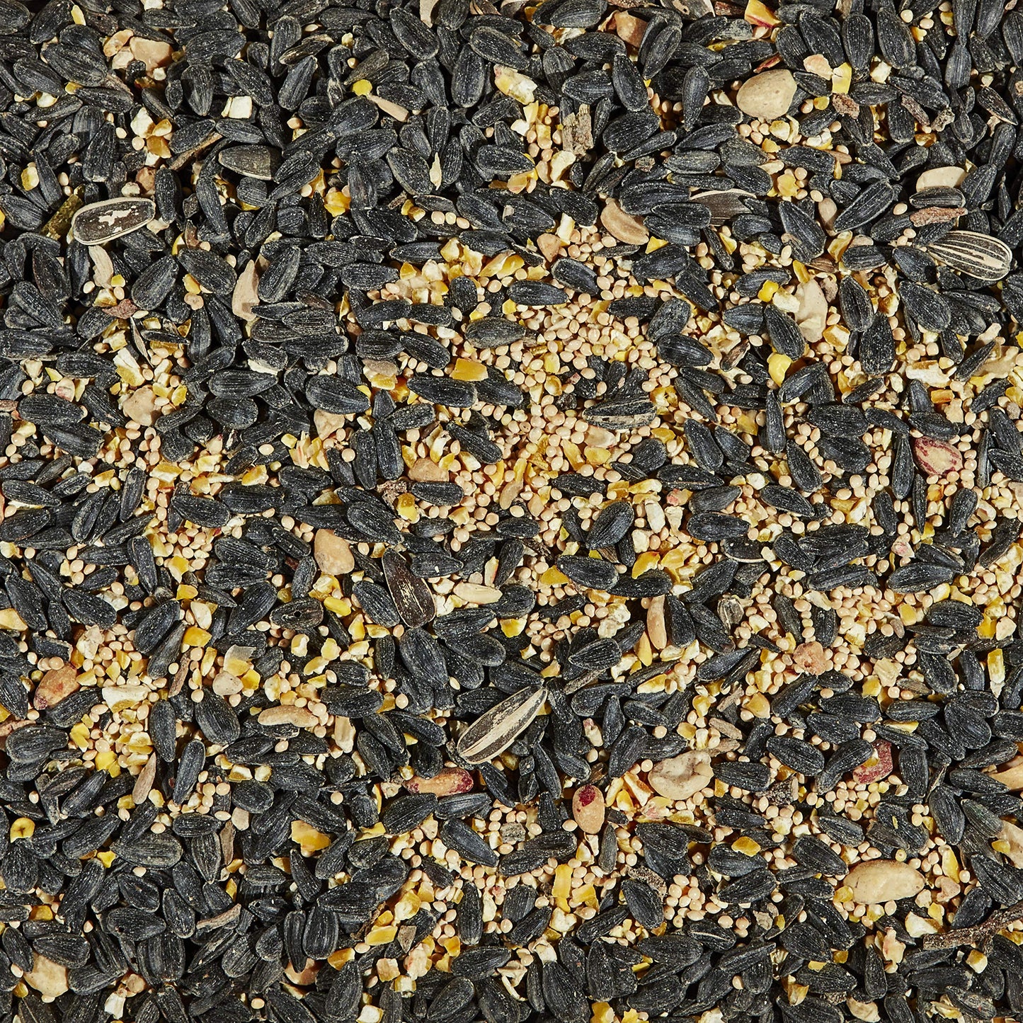 Kaytee Wild Bird Songbird Blend Food Seed, 7 Pound-UPStoxs