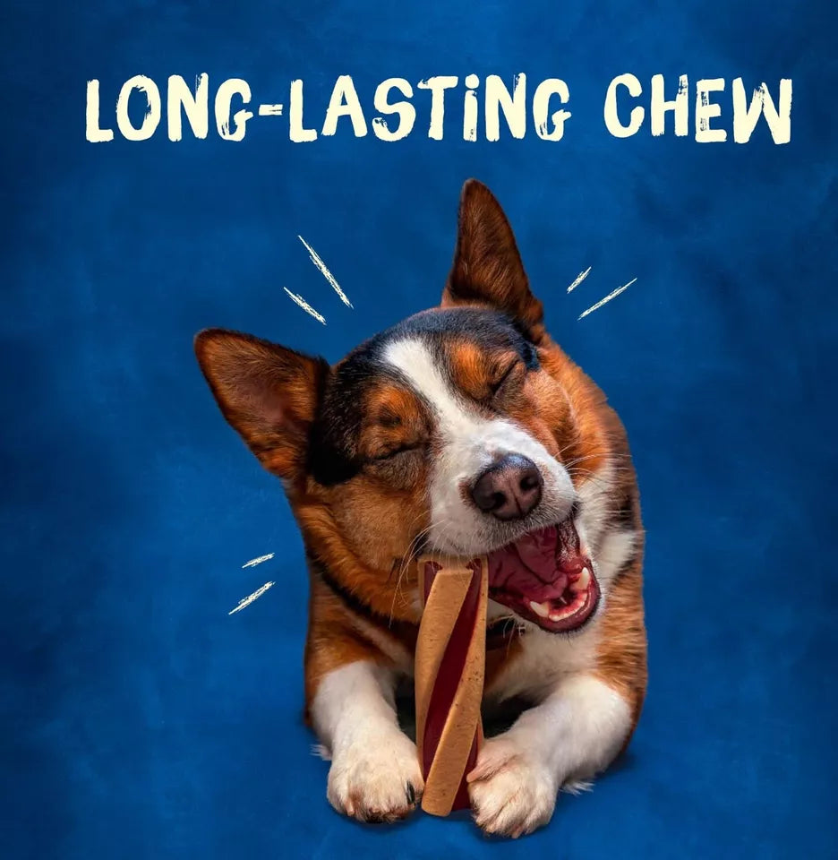 Purina Busy With Beggin' Twist'd Small/Medium Breed Dog Treats, 18 ct.